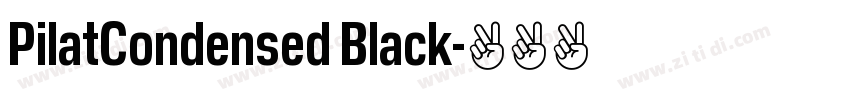 PilatCondensed Black字体转换